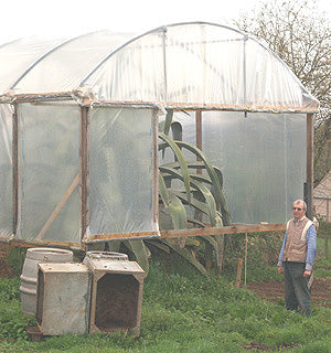 AGAVE AMERICANA