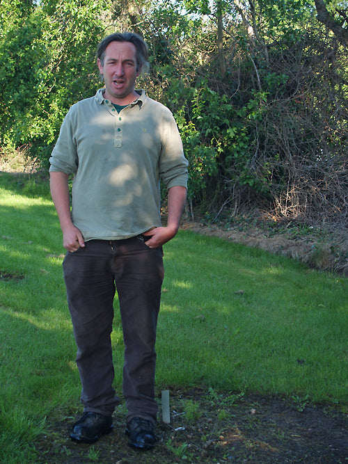 SAMBUCUS RACEMOSA 'TENUIFOLIA'