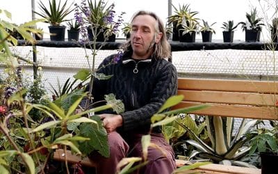 Ed talks about Salvias that really look good in autumn
